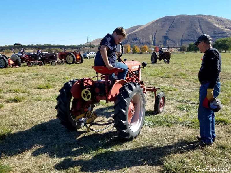 Plowing Bee