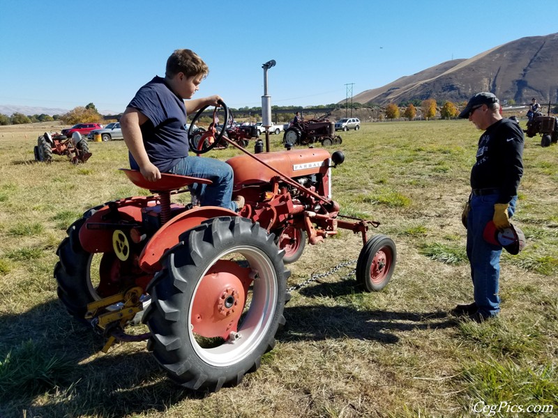 Plowing Bee