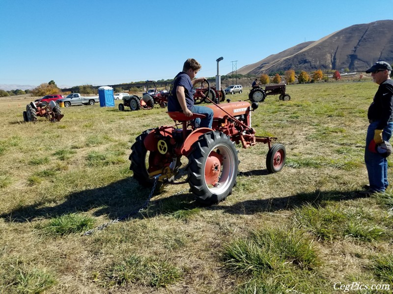 Plowing Bee