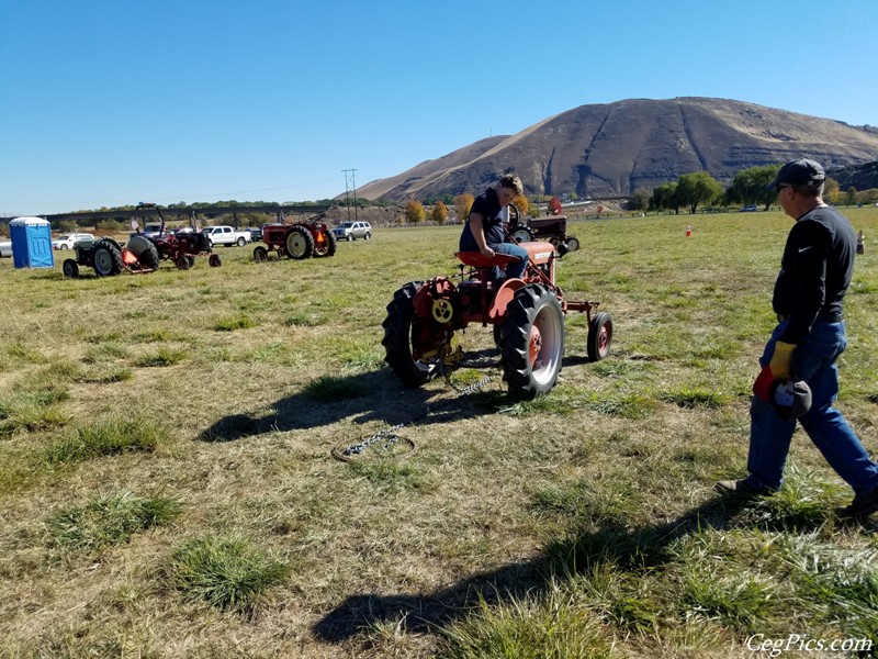 Plowing Bee