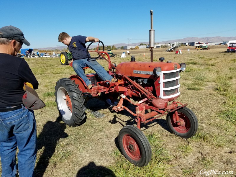 Plowing Bee