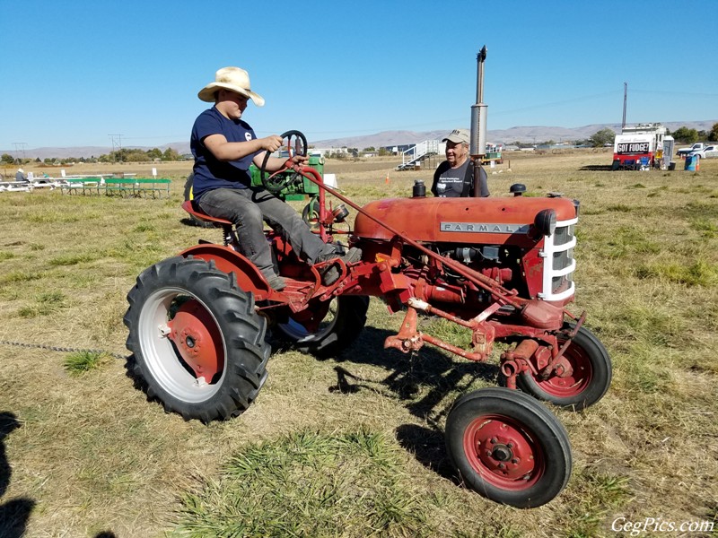 Plowing Bee