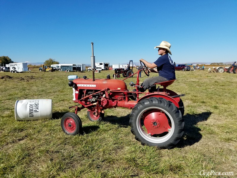 Plowing Bee