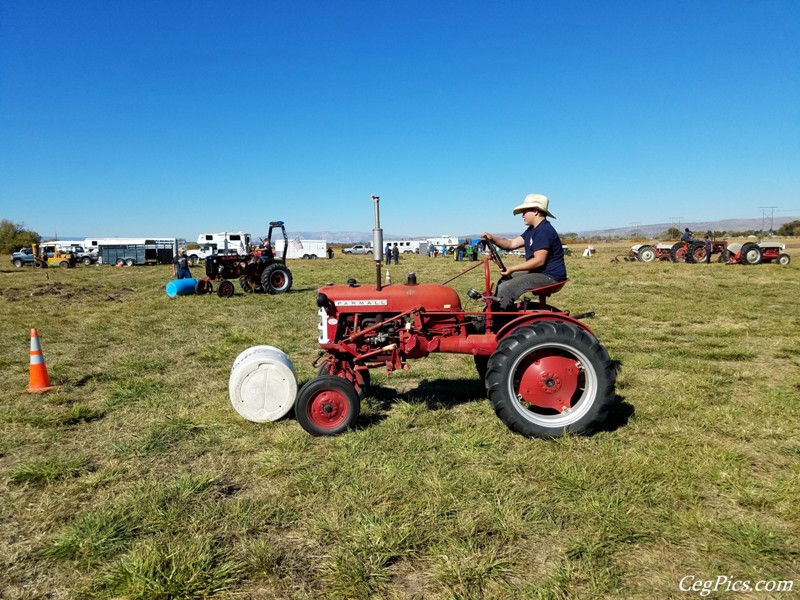 Plowing Bee