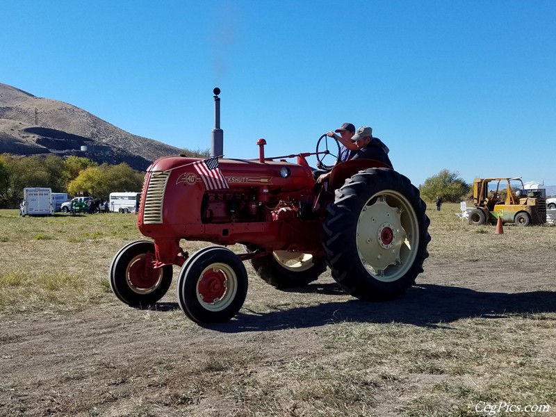 Plowing Bee