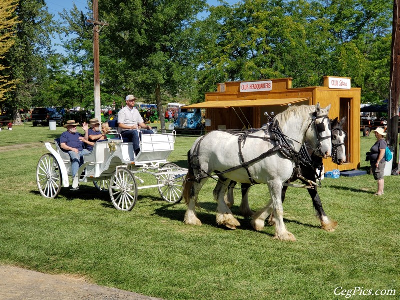 Pioneer Power Show