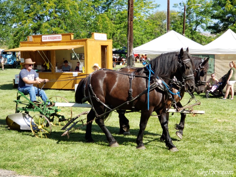 Pioneer Power Show