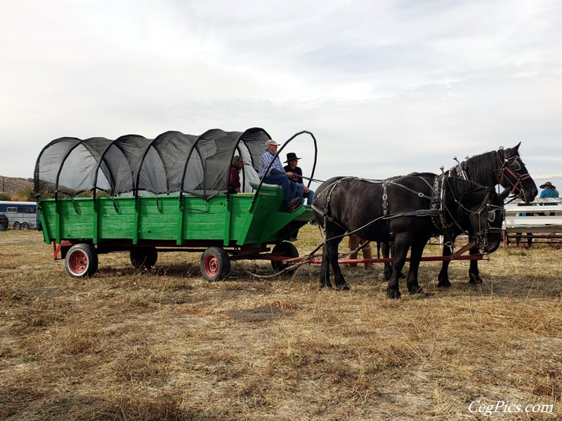 Agri-Copia