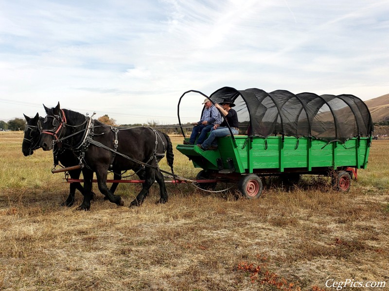 Agri-Copia