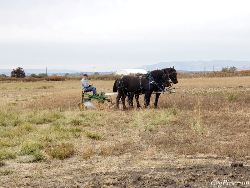 Agri-Copia