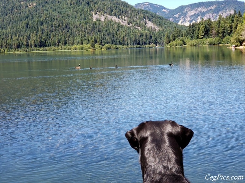 Clear Lake Trip