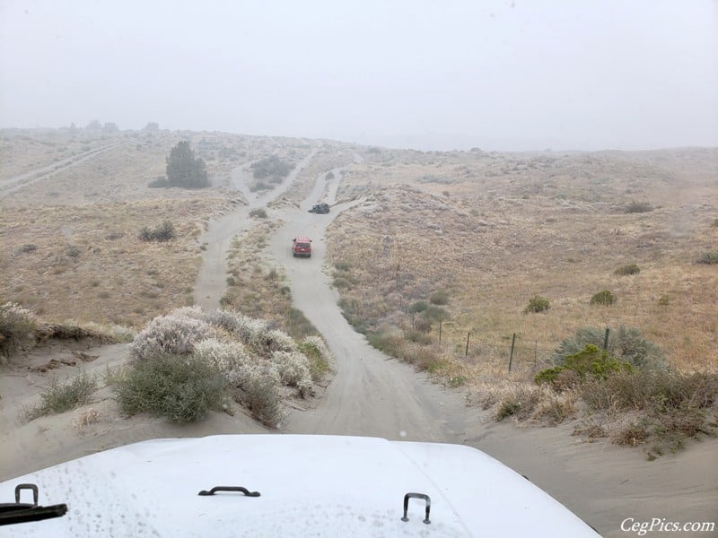 Juniper Dunes