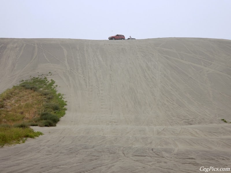 Juniper Dunes