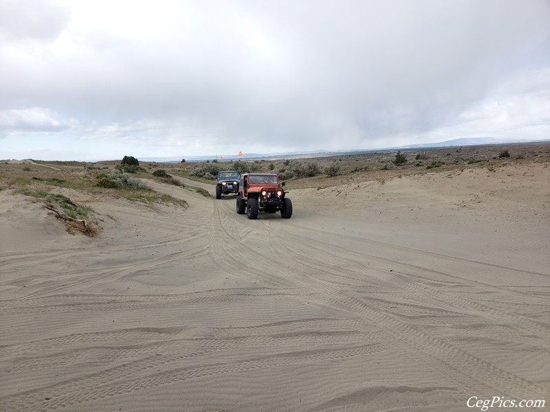 Juniper Dunes