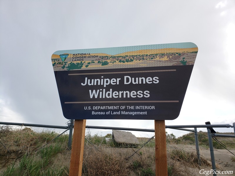 Juniper Dunes