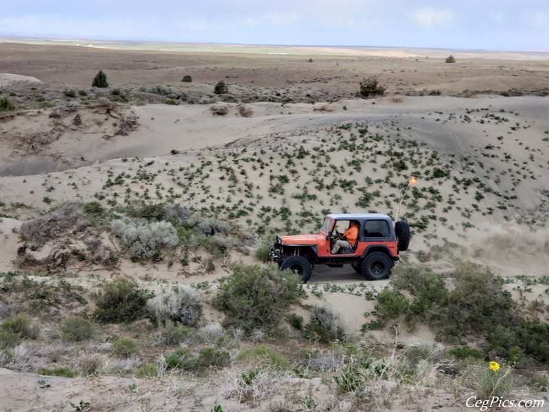 Juniper Dunes