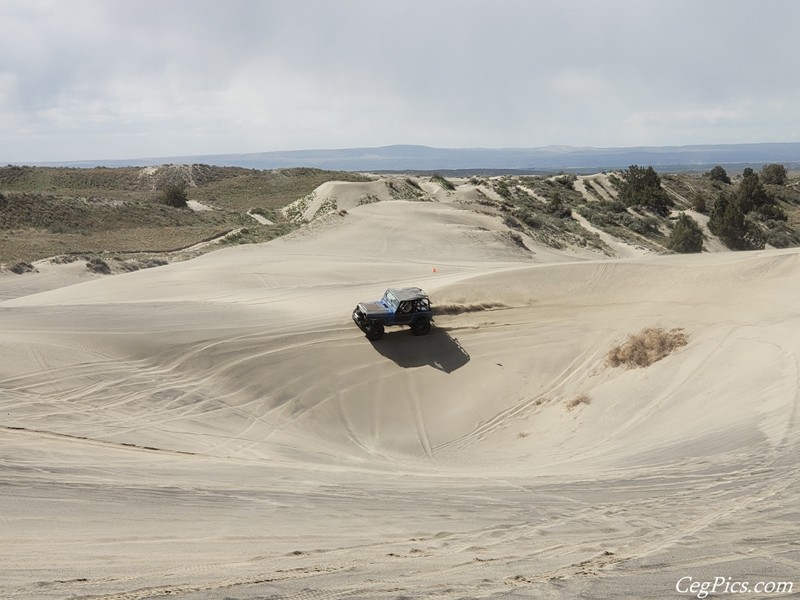 Juniper Dunes