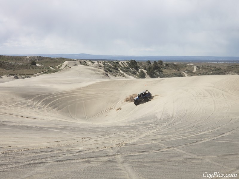 Juniper Dunes