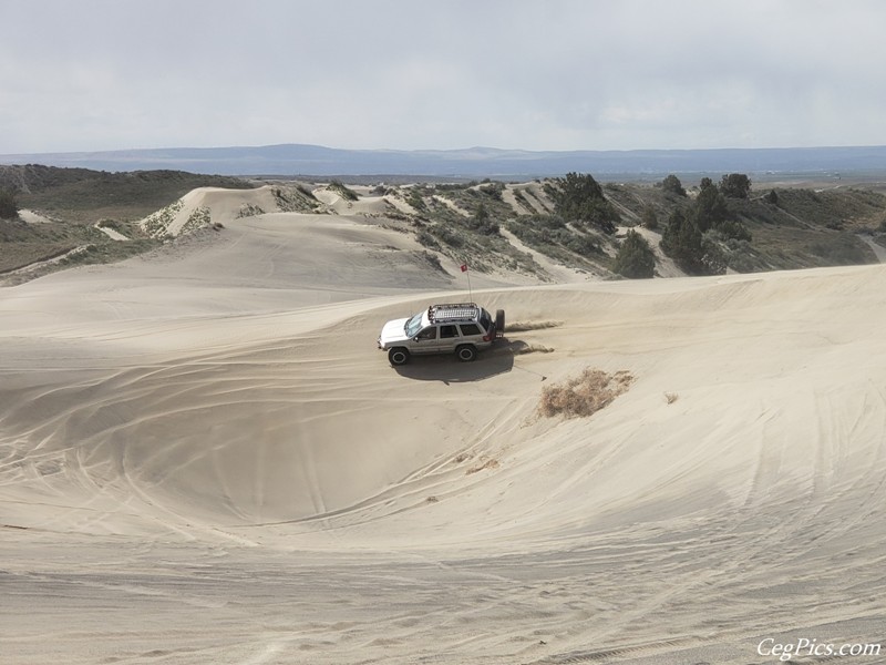 Juniper Dunes