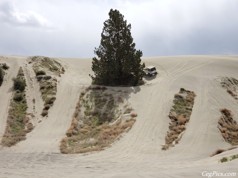 Juniper Dunes