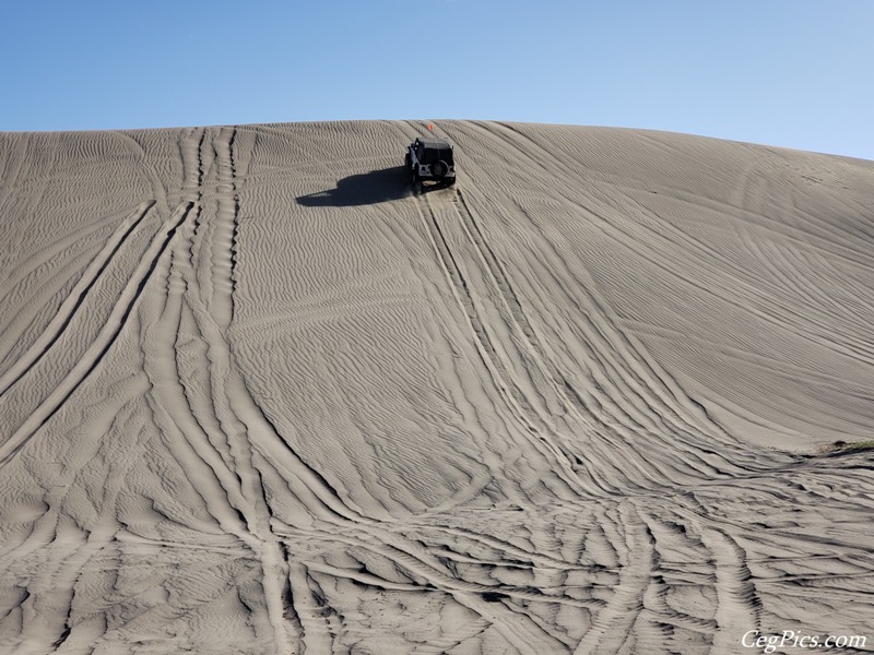 Juniper Dunes