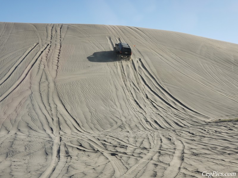 Juniper Dunes