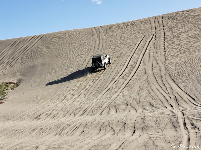 Juniper Dunes