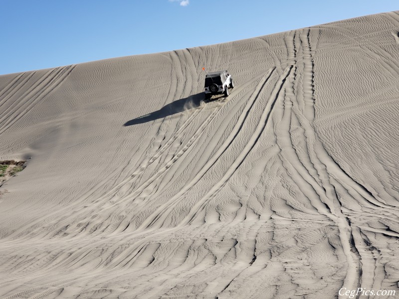 Juniper Dunes