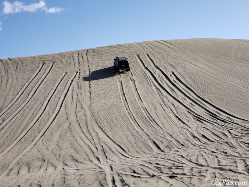 Juniper Dunes