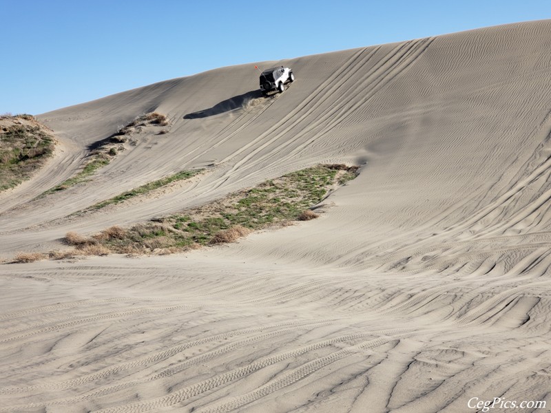 Juniper Dunes