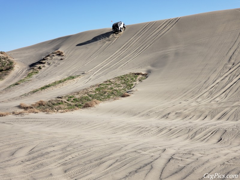 Juniper Dunes