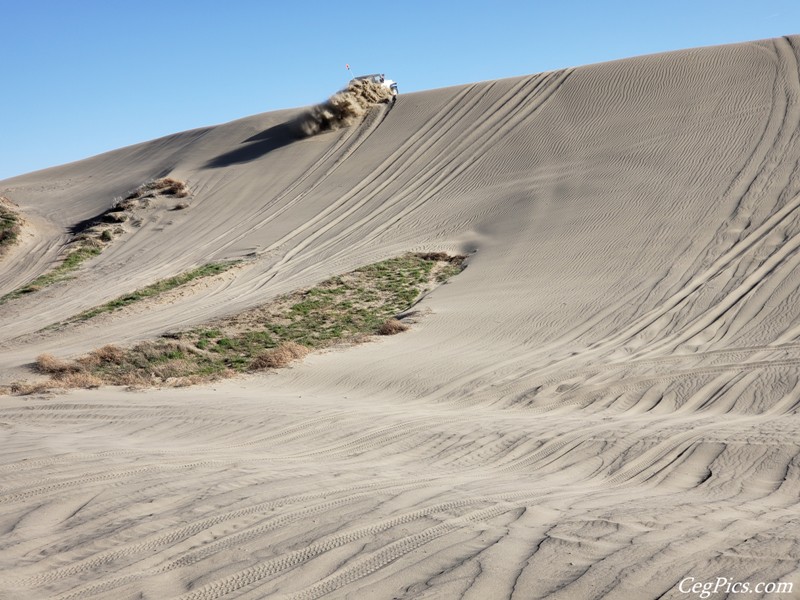 Juniper Dunes