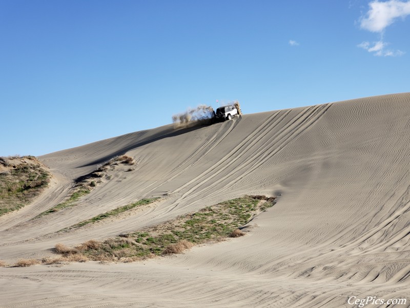 Juniper Dunes