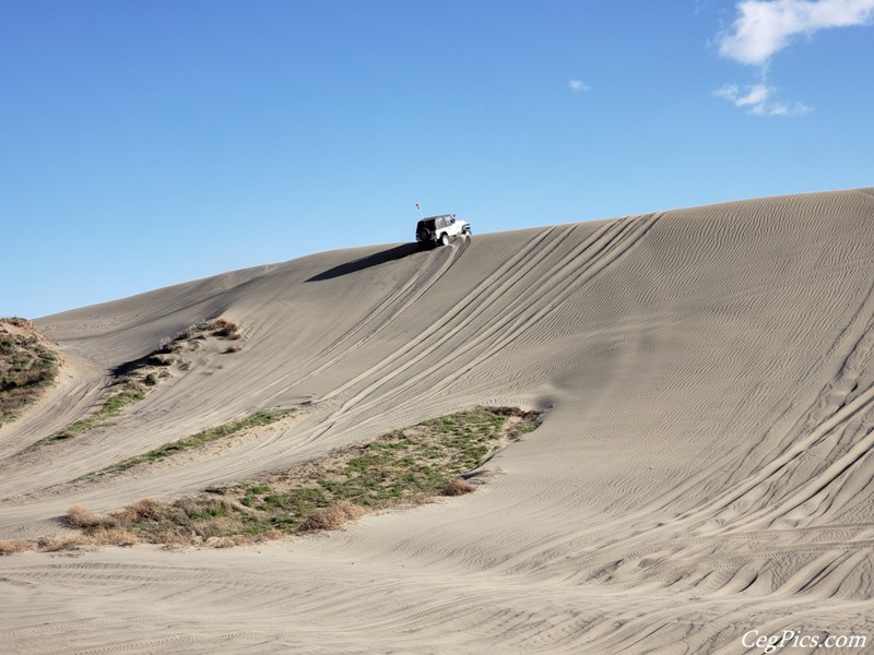 Juniper Dunes