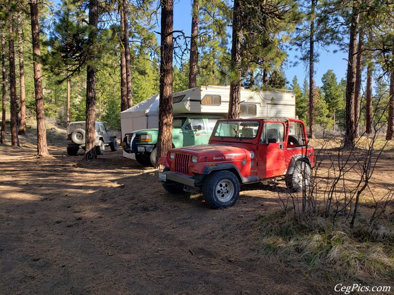 Naneum Ridge State Forest