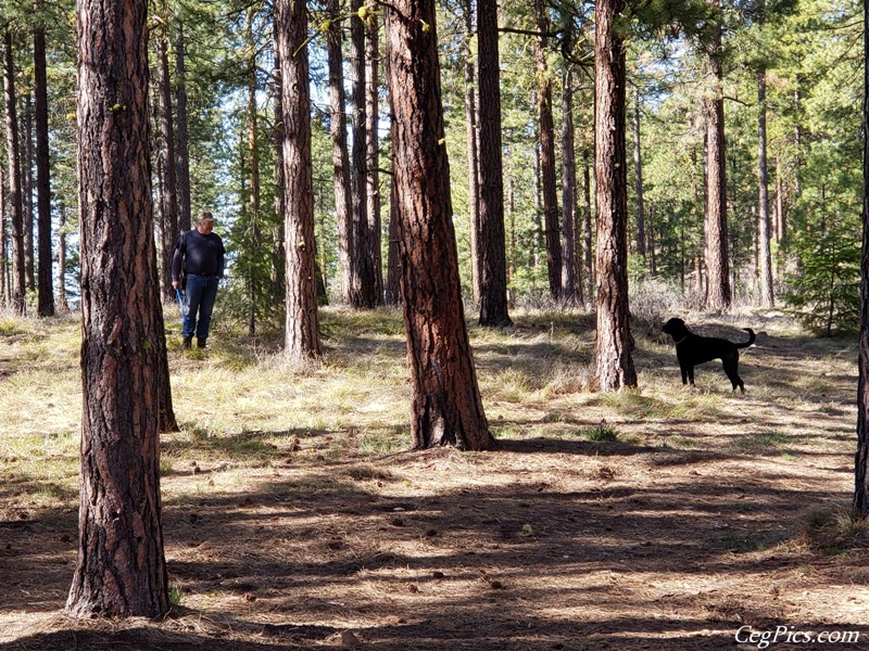 Naneum Ridge State Forest