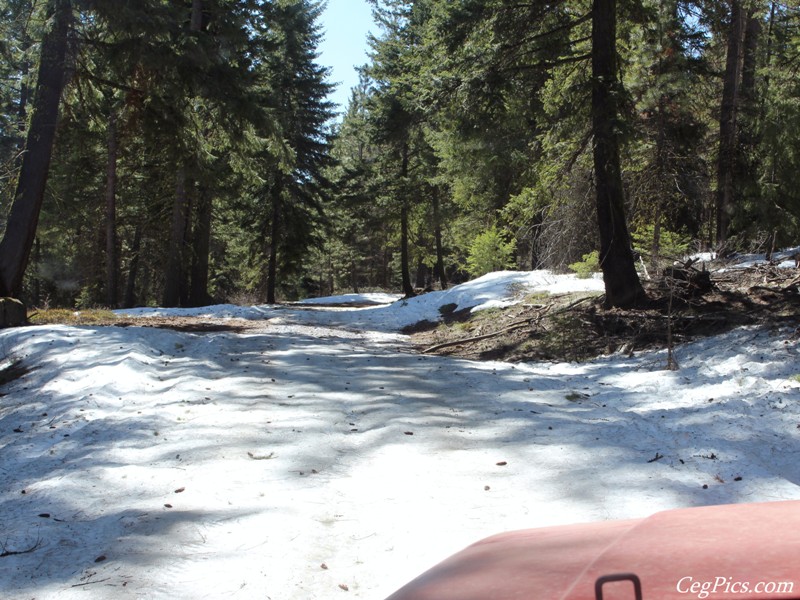 Naneum Ridge State Forest