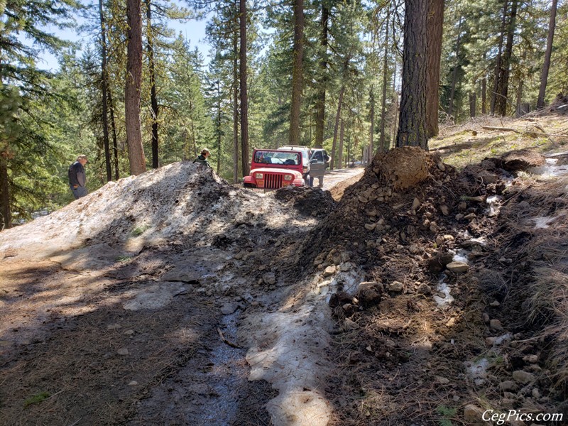 Naneum Ridge State Forest