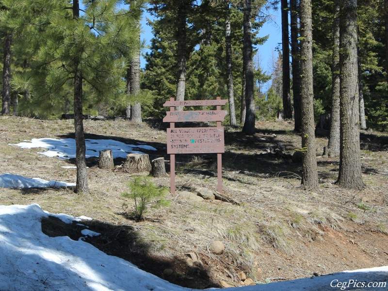 Naneum Ridge State Forest