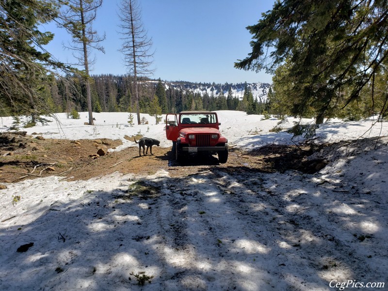 Naneum Ridge State Forest