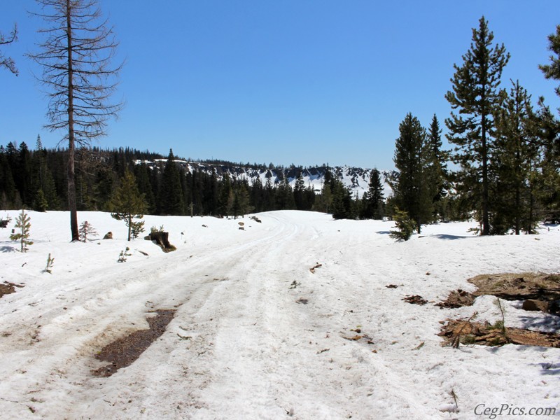 Naneum Ridge State Forest