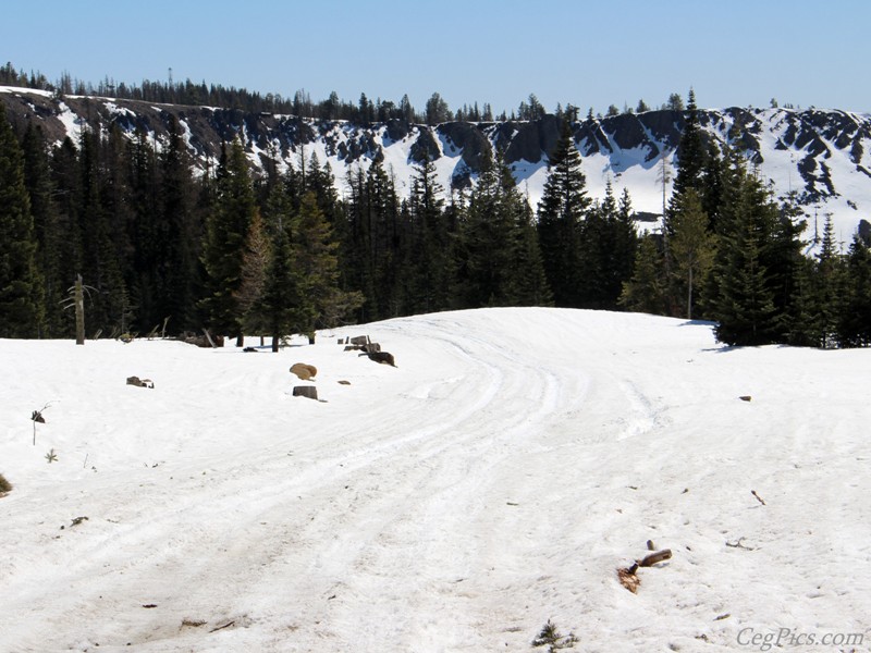 Naneum Ridge State Forest