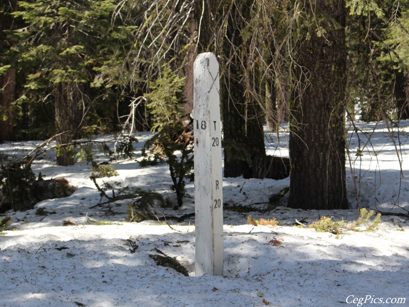 Naneum Ridge State Forest