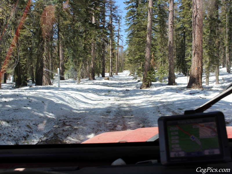 Naneum Ridge State Forest