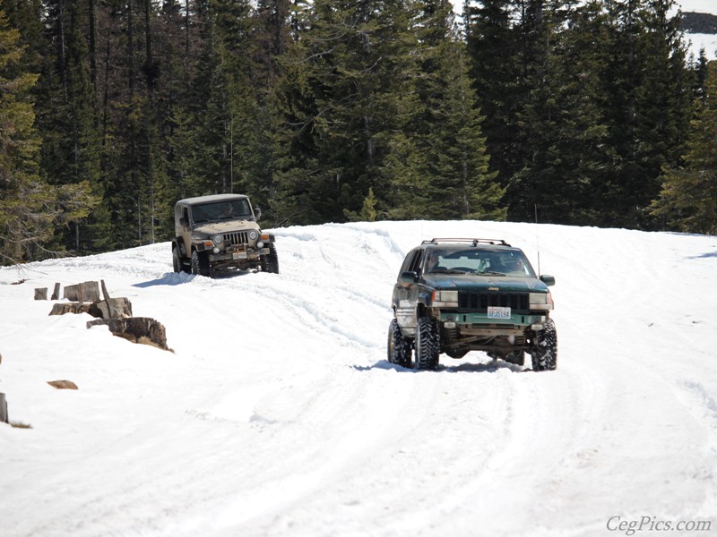 Naneum Ridge State Forest