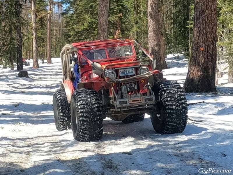 Naneum Ridge State Forest