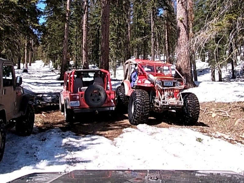 Naneum Ridge State Forest