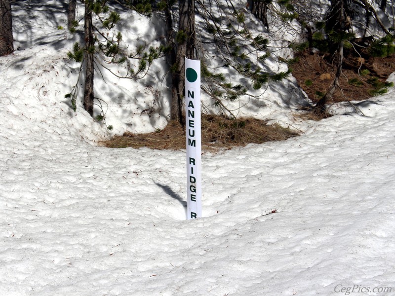 Naneum Ridge State Forest