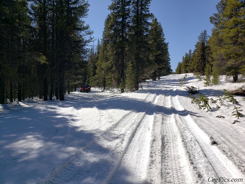 Naneum Ridge State Forest