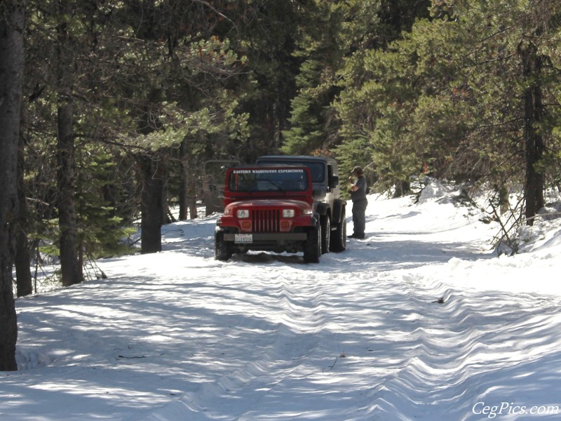 Naneum Ridge State Forest